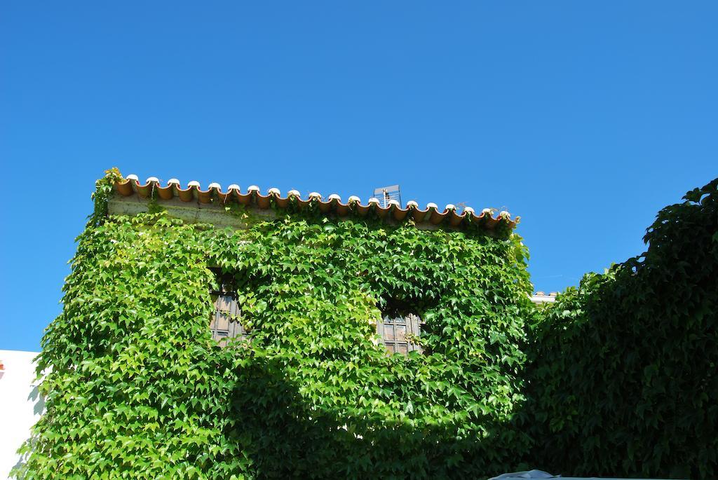 Rio NaturAL Vila Nova de Milfontes Exterior foto