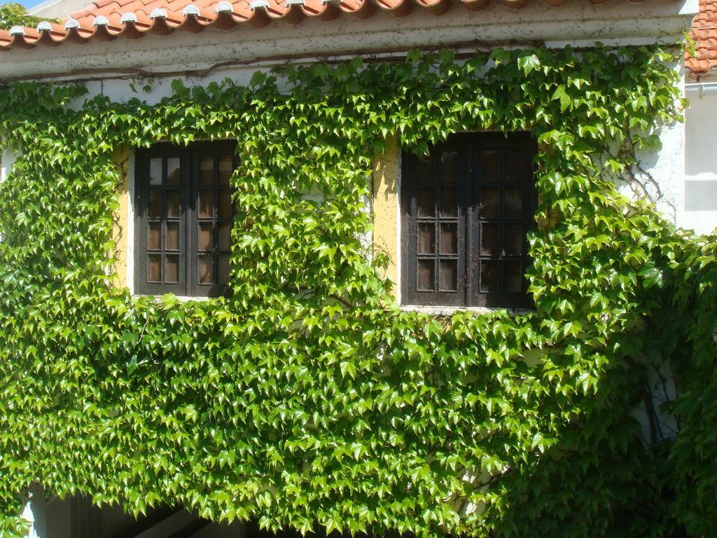 Rio NaturAL Vila Nova de Milfontes Exterior foto